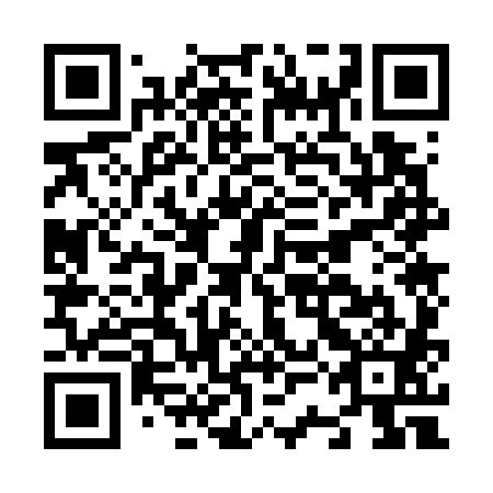 QR code for N3O 781
