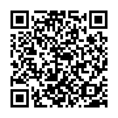QR code for N3O339