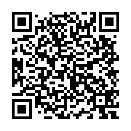 QR code for N3O519