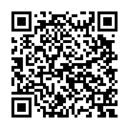 QR code for N3P 010