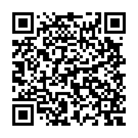 QR code for N3P 041