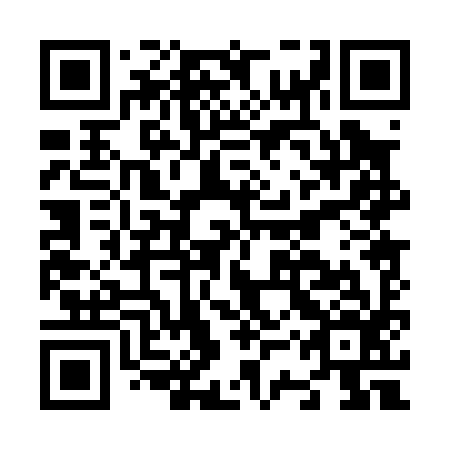QR code for N3P 096