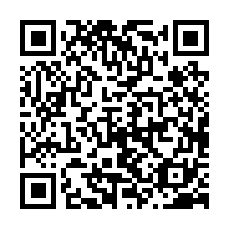QR code for N3P 271