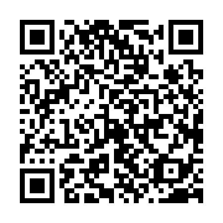 QR code for N3P 339