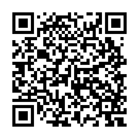 QR code for N3P 386