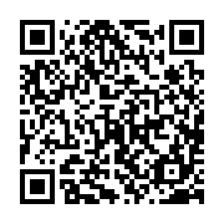 QR code for N3P 394