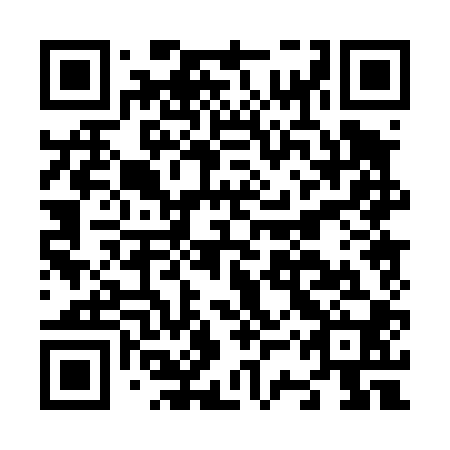 QR code for N3P 400