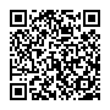 QR code for N3P 430