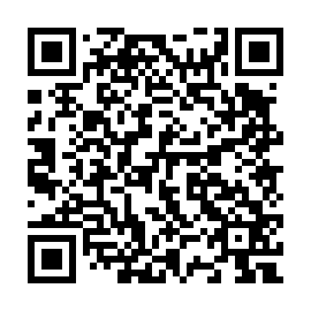 QR code for N3P 462