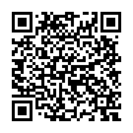 QR code for N3P 521