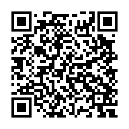QR code for plate N3P 042
