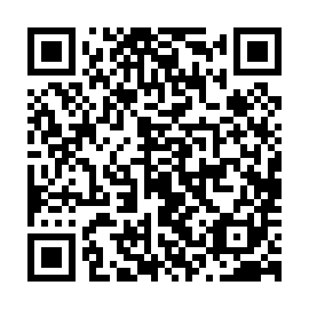 QR code for N3P081