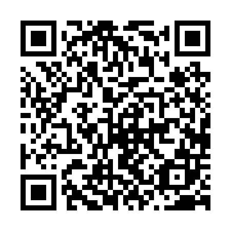 QR code for N3P202