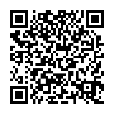QR code for plate N3P 211