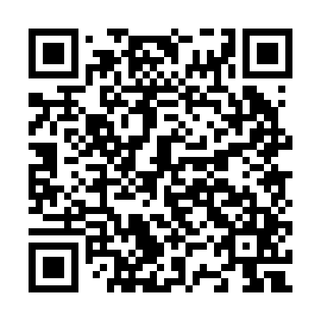 QR code for N3P245