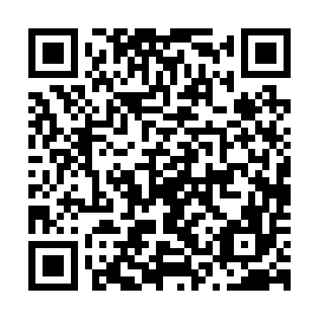 QR code for plate N3P 256