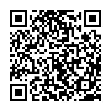 QR code for N3P363