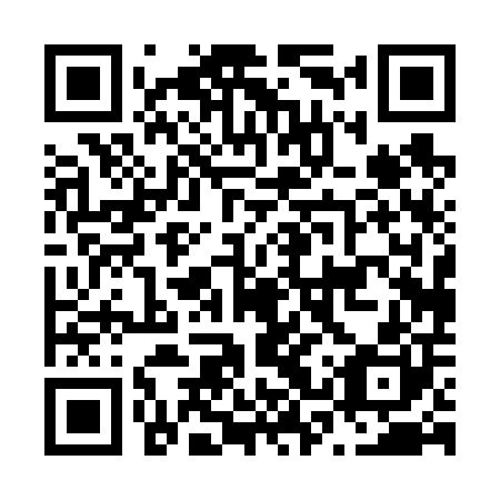 QR code for N3P600