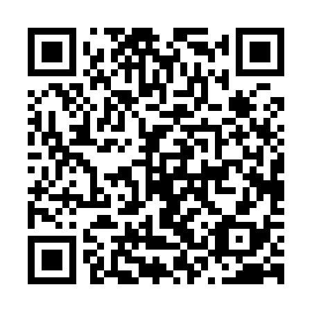 QR code for N3P938