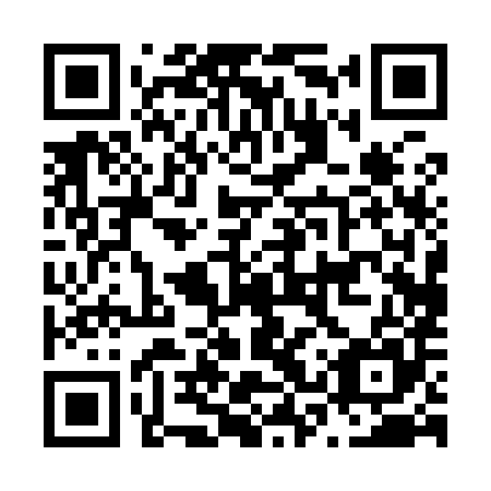 QR code for plate N3P 985