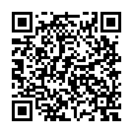 QR code for N3Q 196