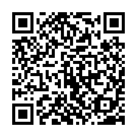 QR code for N3Q 299