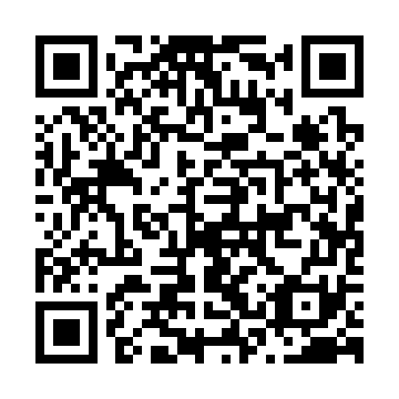 QR code for N3Q 371