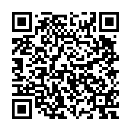 QR code for N3Q 411