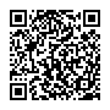 QR code for N3Q 453