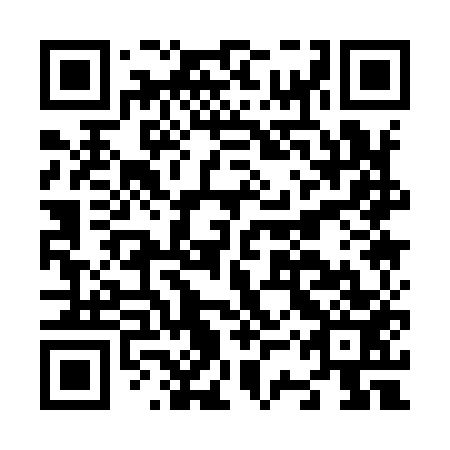 QR code for N3Q 953