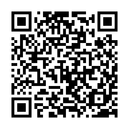 QR code for plate N3Q 290