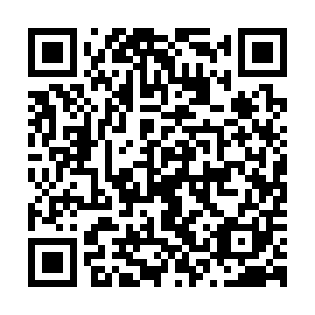 QR code for plate N3Q 301