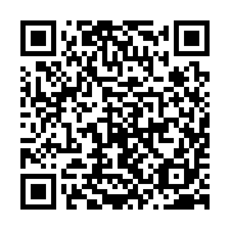 QR code for N3Q390