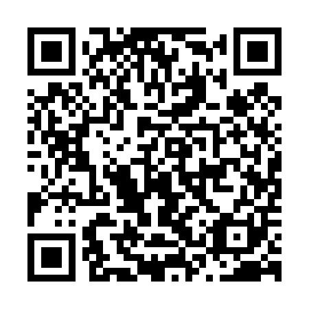 QR code for plate N3Q 401
