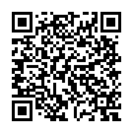 QR code for plate N3Q 514