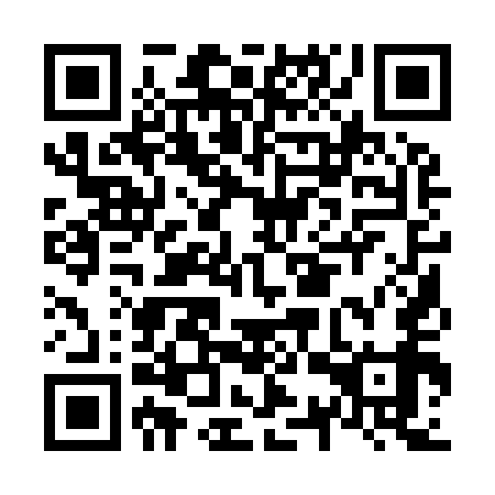 QR code for plate N3Q 959