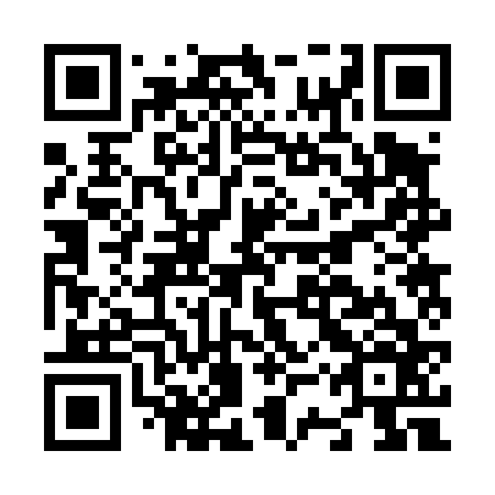 QR code for N3R 466
