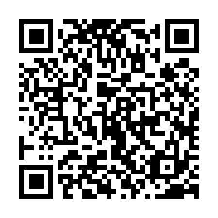QR code for N3R 533