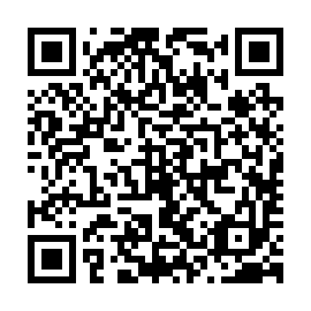QR code for N3R293