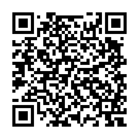 QR code for N3R481