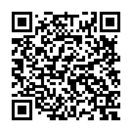 QR code for N3R833