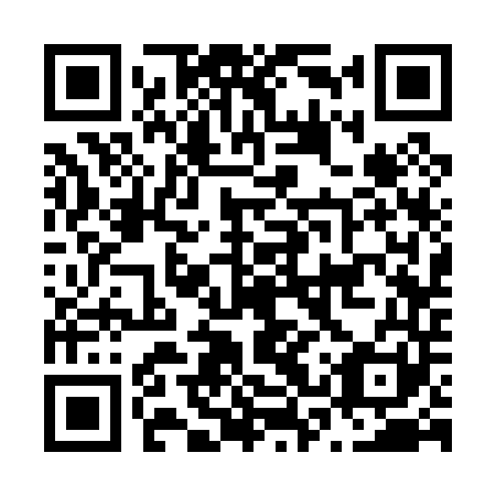 QR code for N3S 041