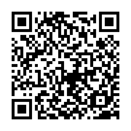 QR code for N3S 095
