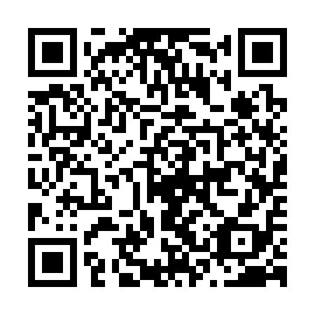 QR code for N3S 318