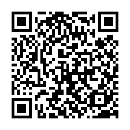 QR code for N3S 420