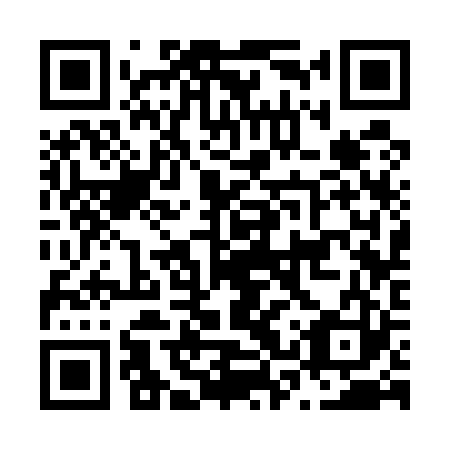 QR code for N3S 523