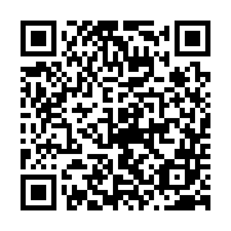 QR code for N3S342