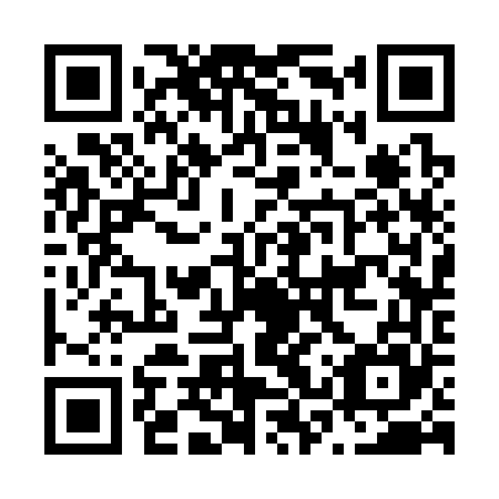 QR code for plate N3S 365