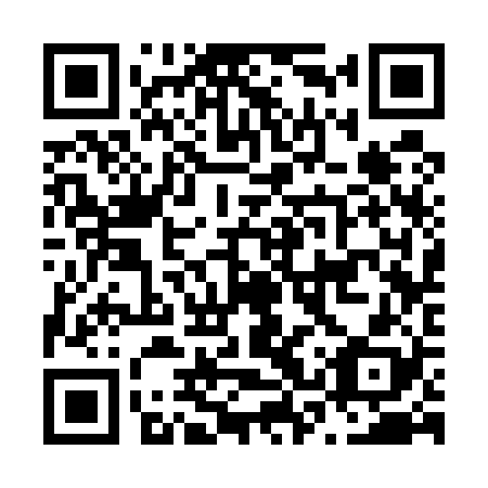 QR code for N3S528