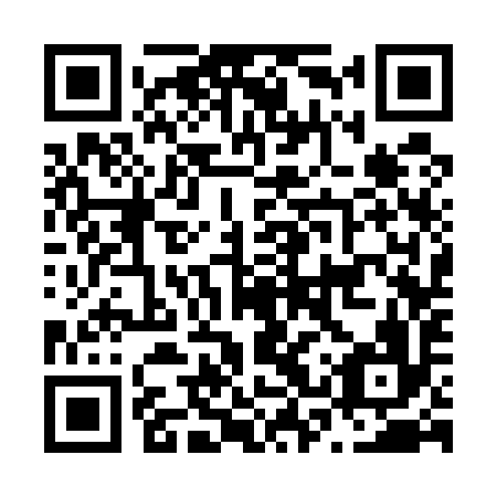 QR code for N3S596